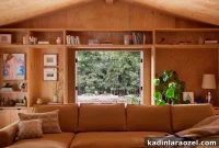 Daring Wood Interiors: Embrace Wall-to-Wall Timber Designs