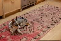 I Pressure Washed a Vintage Moroccan Rug — What Happened Next