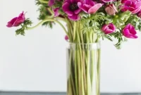 8 Surprising Benefits of Fresh Flowers for Home and Mood
