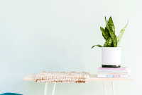 Build a Stylish Budget Bench in Under an Hour