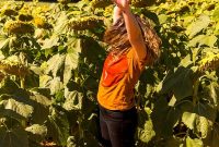 Road Trips: My Recent Asheville Adventure and Travel Tips