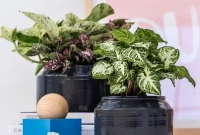 DIY Metal Planter Makeover: Transform Yours in Under an Hour