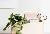 DIY Wooden Desk Organizer: Step-by-Step Build Guide