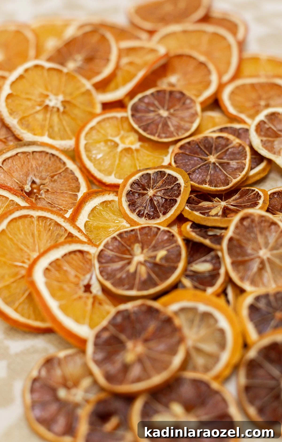 orange and lemon slices dried out and lined up on a kitchen counter with tea towel