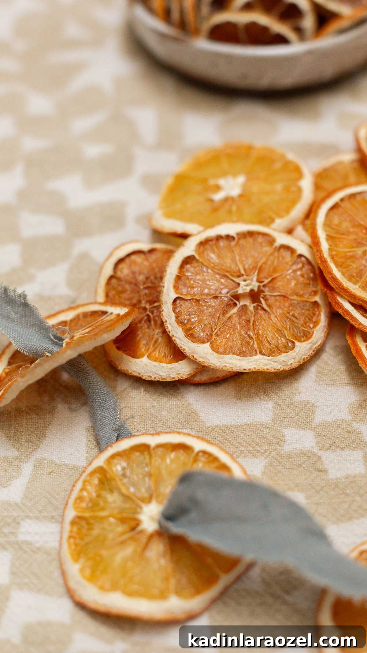 Closeup of dried orange slides on a muted blue fabric string