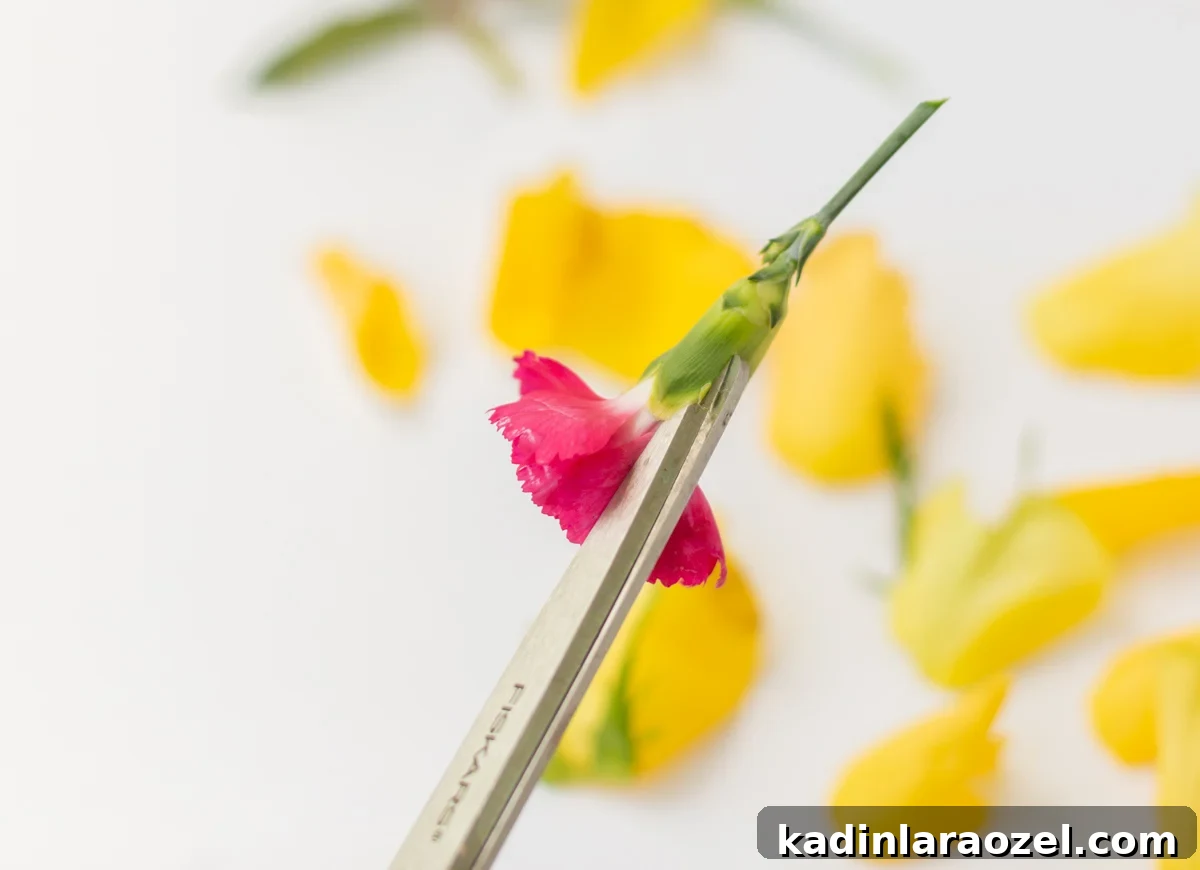 Instant Ways to Upgrade Grocery Store Flowers for Stunning Bouquets 7 snipping a carnation at the base to make them fuller