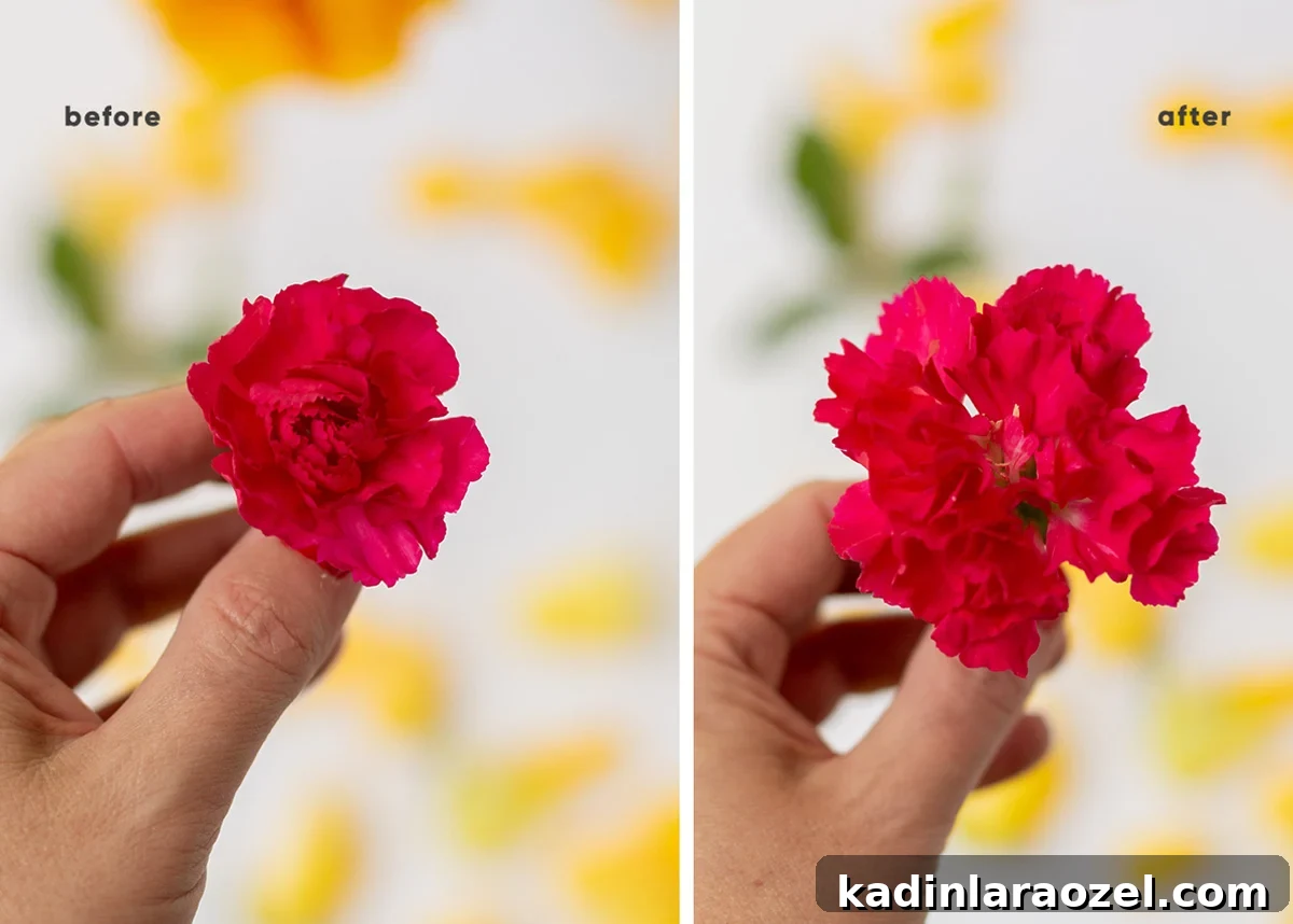 Instant Ways to Upgrade Grocery Store Flowers for Stunning Bouquets 8 before and after side by side of hot pink carnations