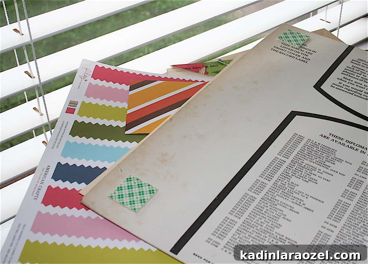 DIY Vinyl Album Cover Wall Organizer in 5 Minutes 4 img 1058 3