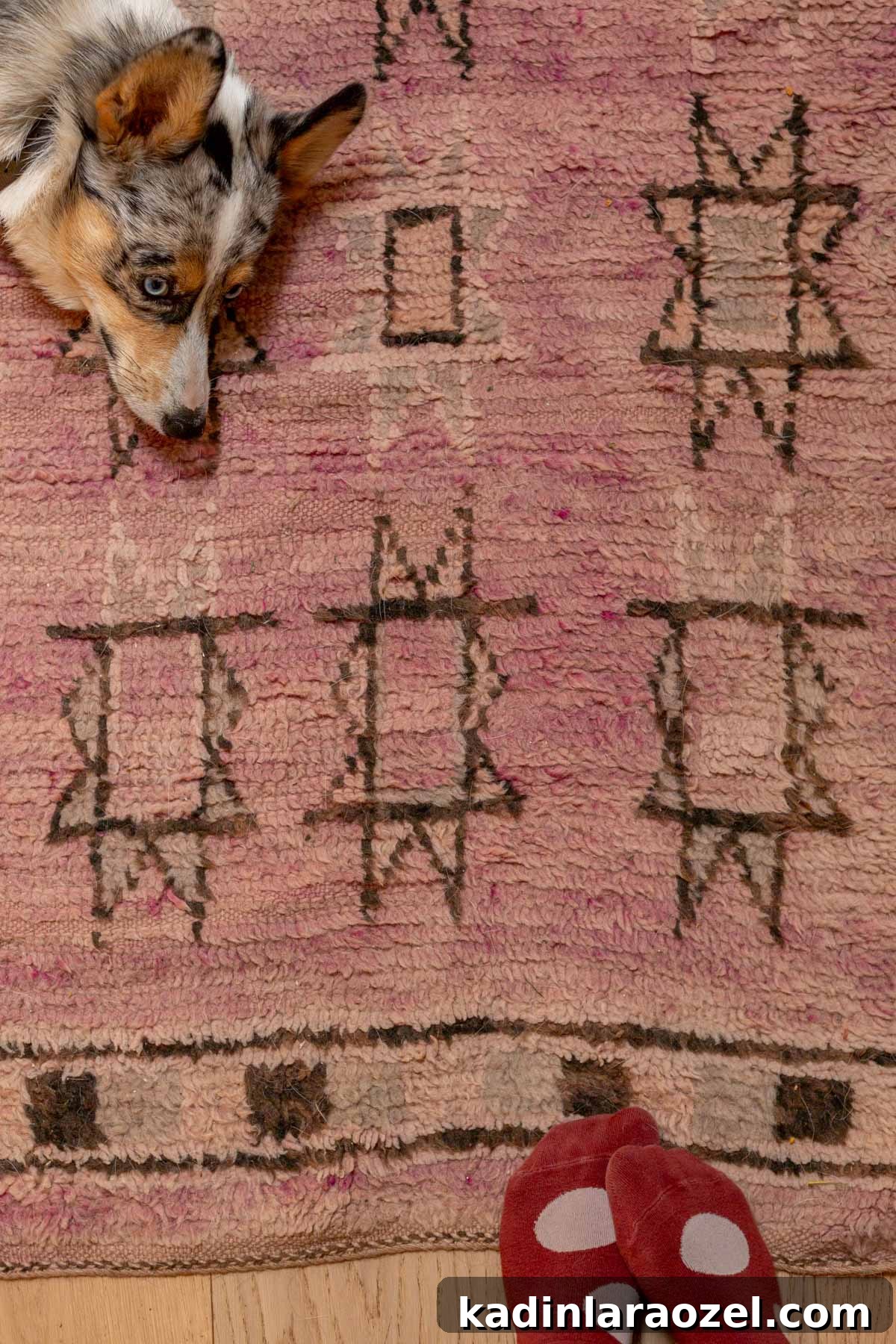I Pressure Washed a Vintage Moroccan Rug — What Happened Next 7 dog and person on light purple rug
