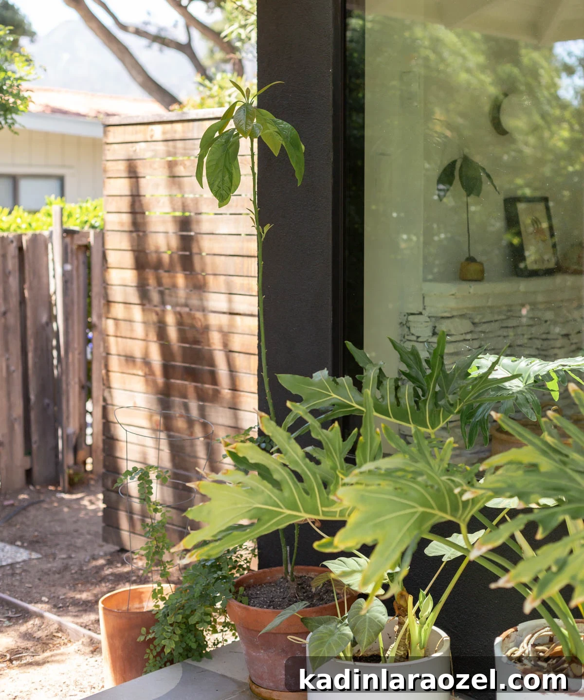 lush plants on a front porch with a black exterior 