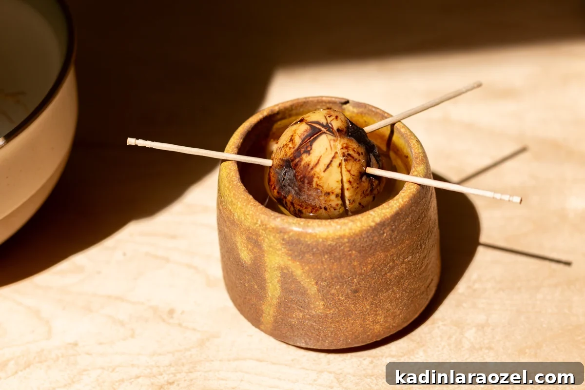 avocado pit being propagated in a small container of water