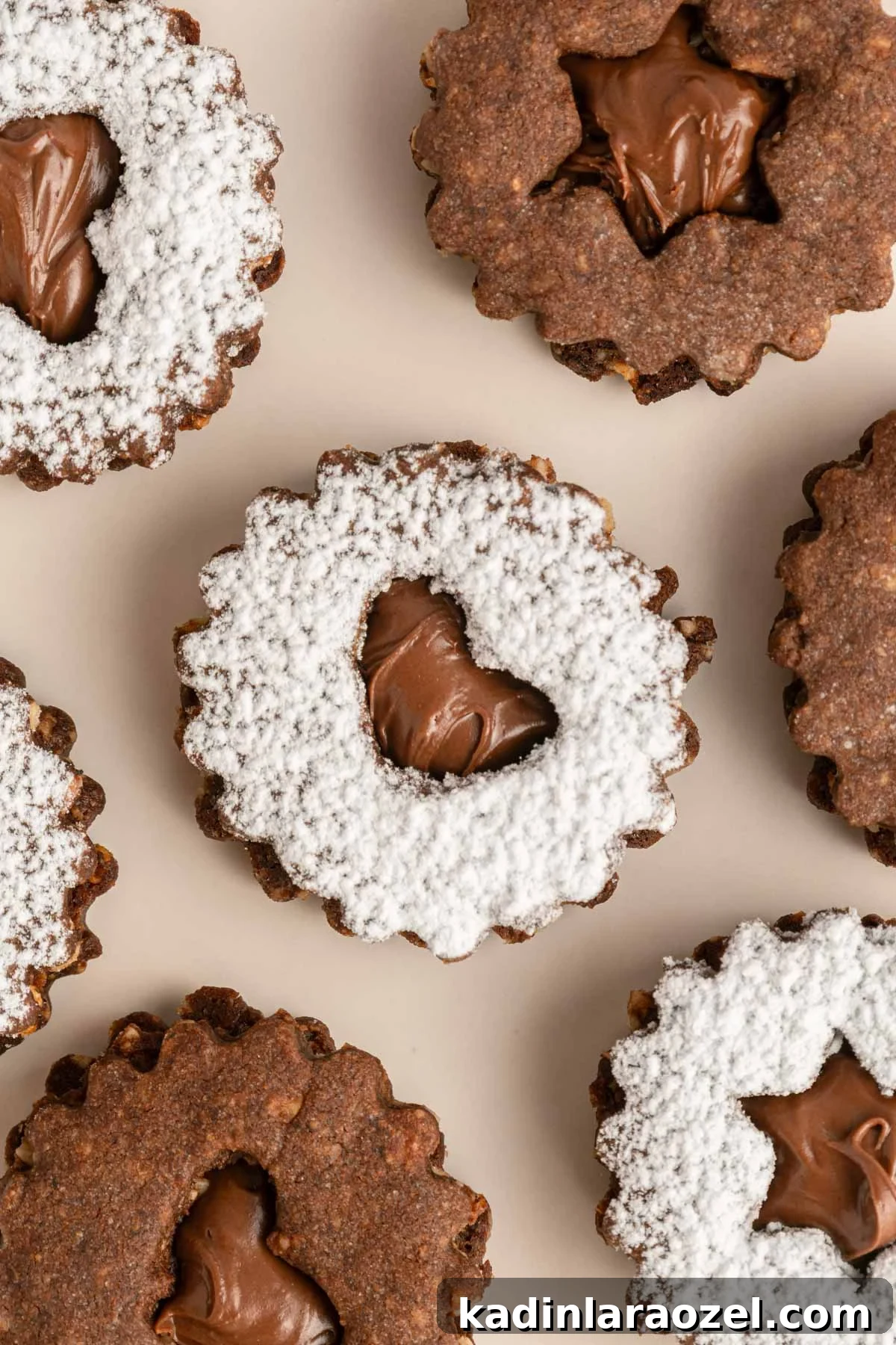 Decadent Chocolate Hazelnut Cookie Recipe 2 closeup details of chocolate hazelnut sandwich cookies