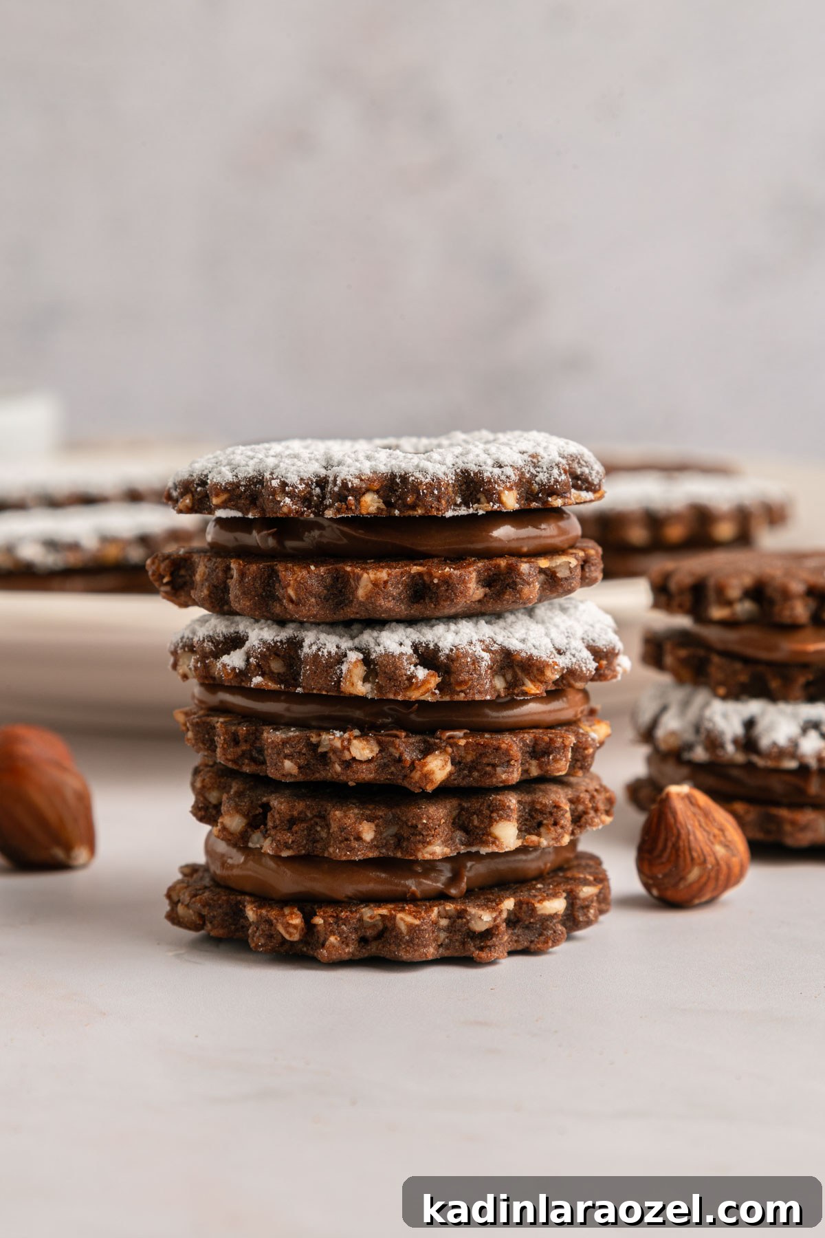 Decadent Chocolate Hazelnut Cookie Recipe 15 stacked hazelnut chocolate linzer cookies with powdered sugar on top