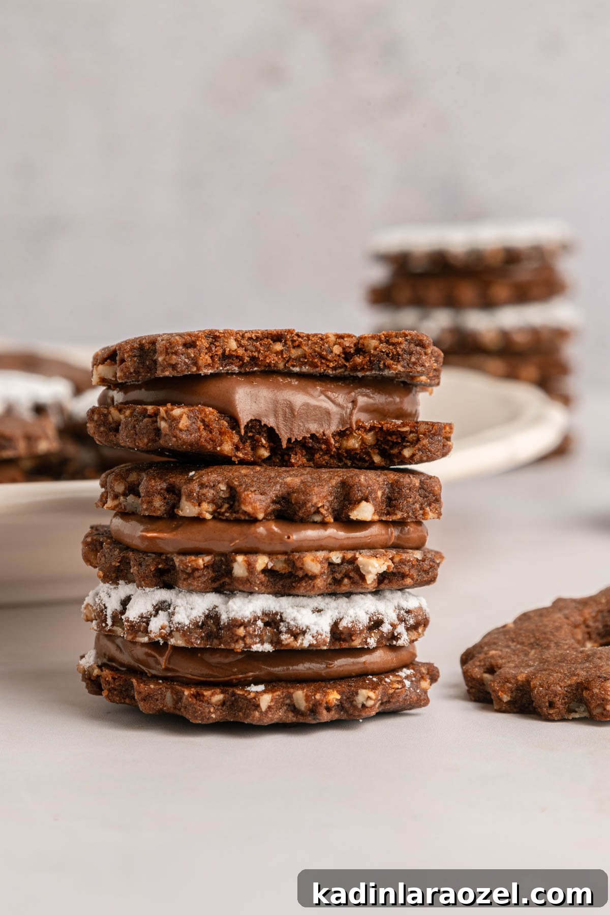 Decadent Chocolate Hazelnut Cookie Recipe 3 img 107967 2