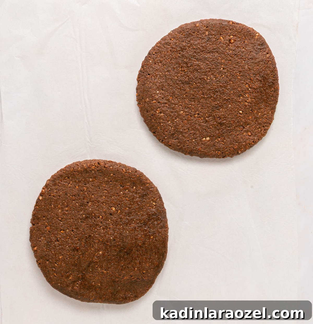 Decadent Chocolate Hazelnut Cookie Recipe 7 two circular flat piece of chocolate hazelnut dough