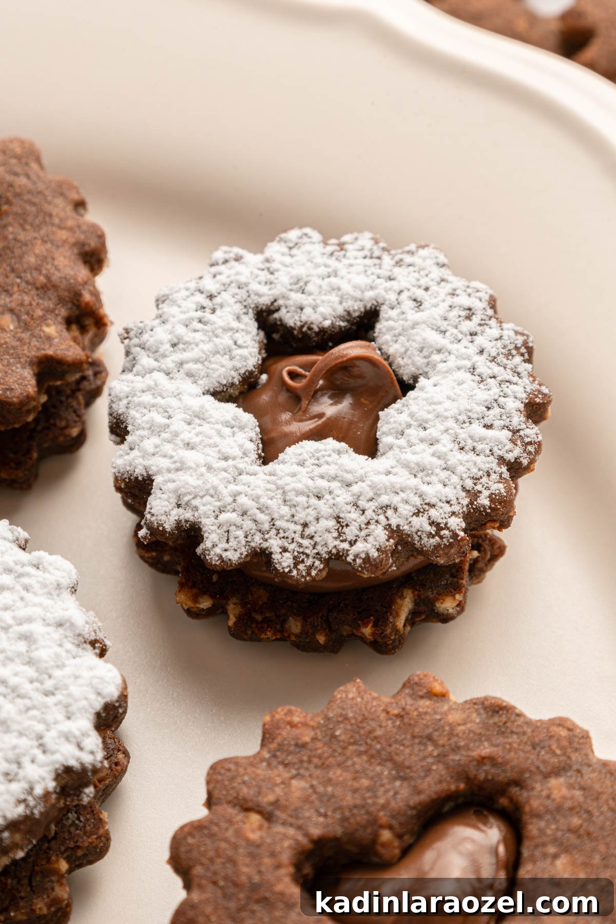 Decadent Chocolate Hazelnut Cookie Recipe 10 closeup of chocolate linzer cookies on a beige plate, with powdered sugar on top