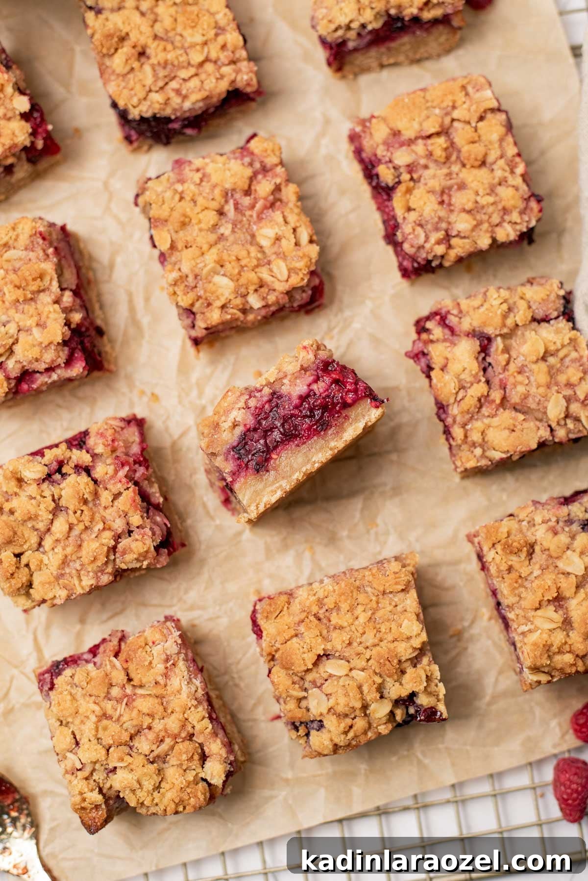 Berry Oat Shortbread Bars — Tender Crust with Fresh Berries 14 berry bars all lined up on parchment paper