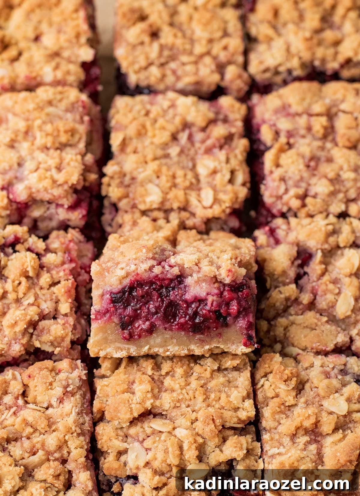 Berry Oat Shortbread Bars — Tender Crust with Fresh Berries 3 closeup shortbread bars dessert, cut into squares and lined up in rows