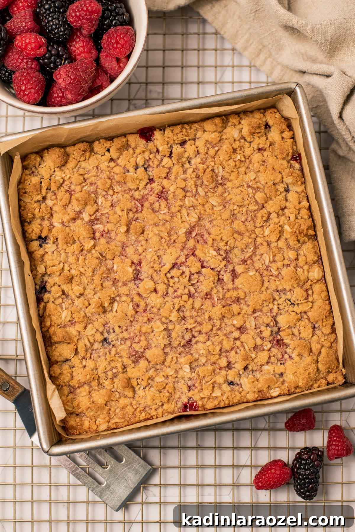 Berry Oat Shortbread Bars — Tender Crust with Fresh Berries 8 baked shortbread berry bars in a square baking tin on a cooling rack