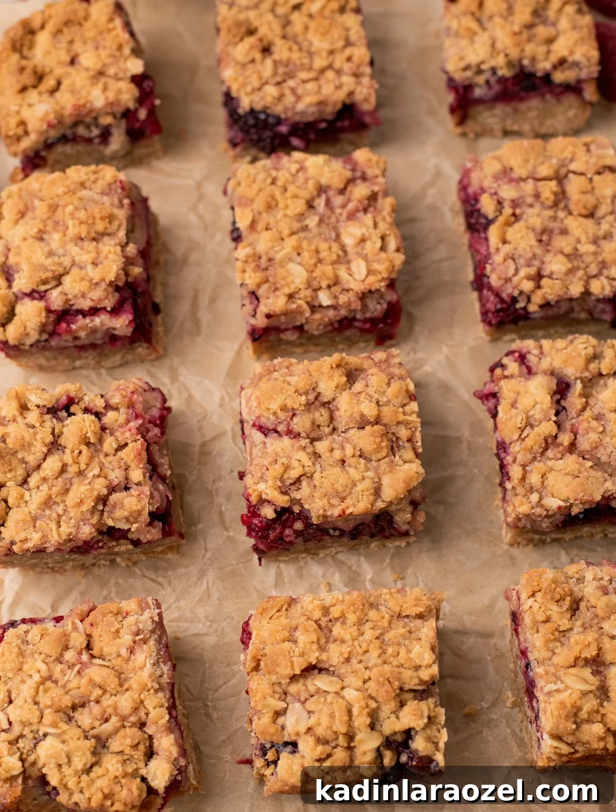 Berry Oat Shortbread Bars — Tender Crust with Fresh Berries 10 evenly spaced shortbread bars lined up on parchment paper
