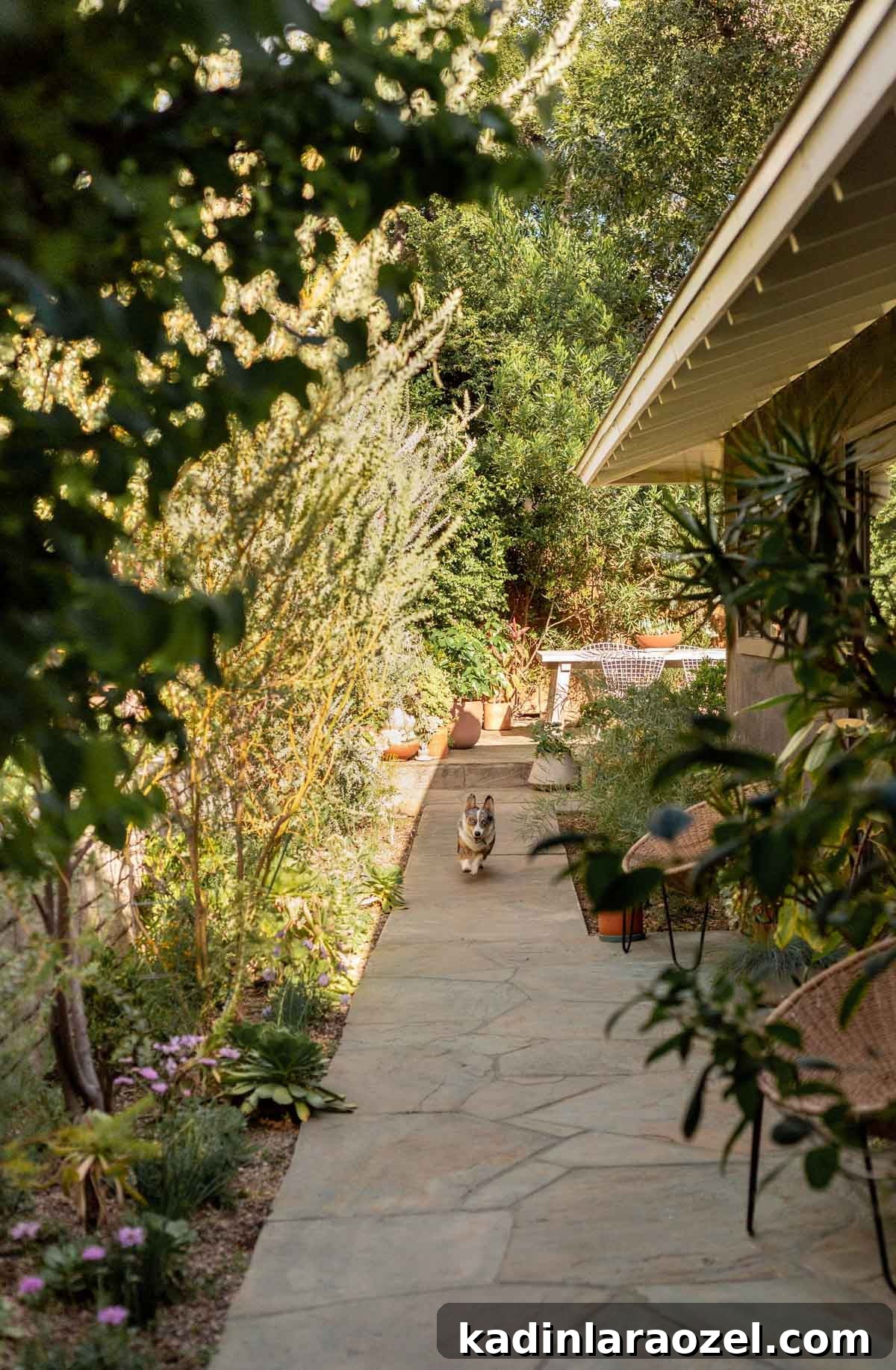 Practical Backyard Garden Ideas You Can Actually Build 2 Wild backyard landscape with lush plants and a dog running