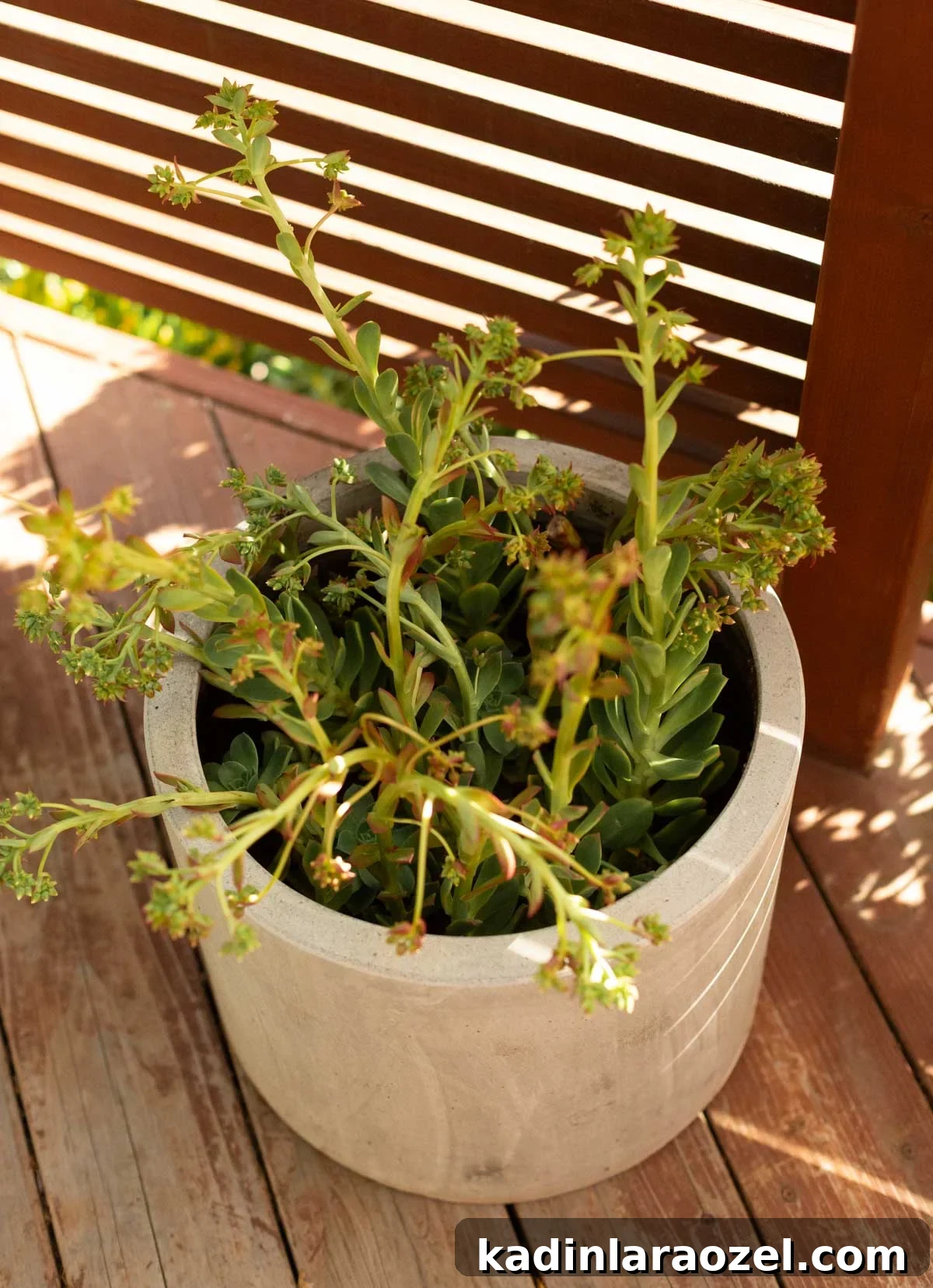 Practical Backyard Garden Ideas You Can Actually Build 16 img 108721 15
