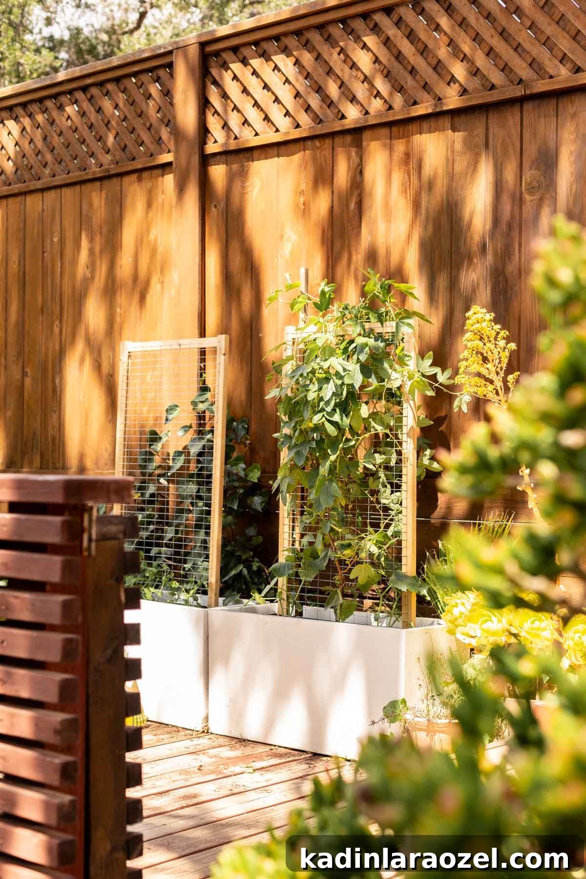 Practical Backyard Garden Ideas You Can Actually Build 17 Two larger planters with trellises and vines