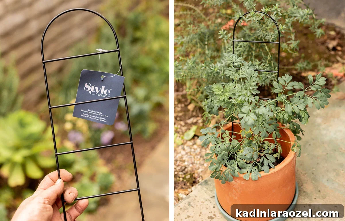 Practical Backyard Garden Ideas You Can Actually Build 18 using a tiny trellis in a small potted planter