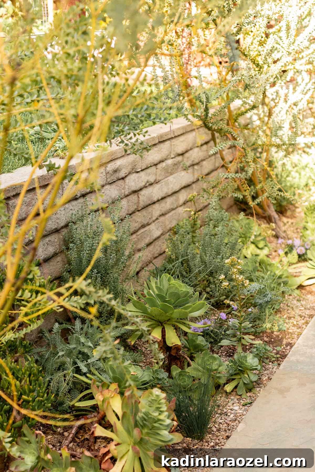 Practical Backyard Garden Ideas You Can Actually Build 22 closeup of green plants and succulents in a backyard
