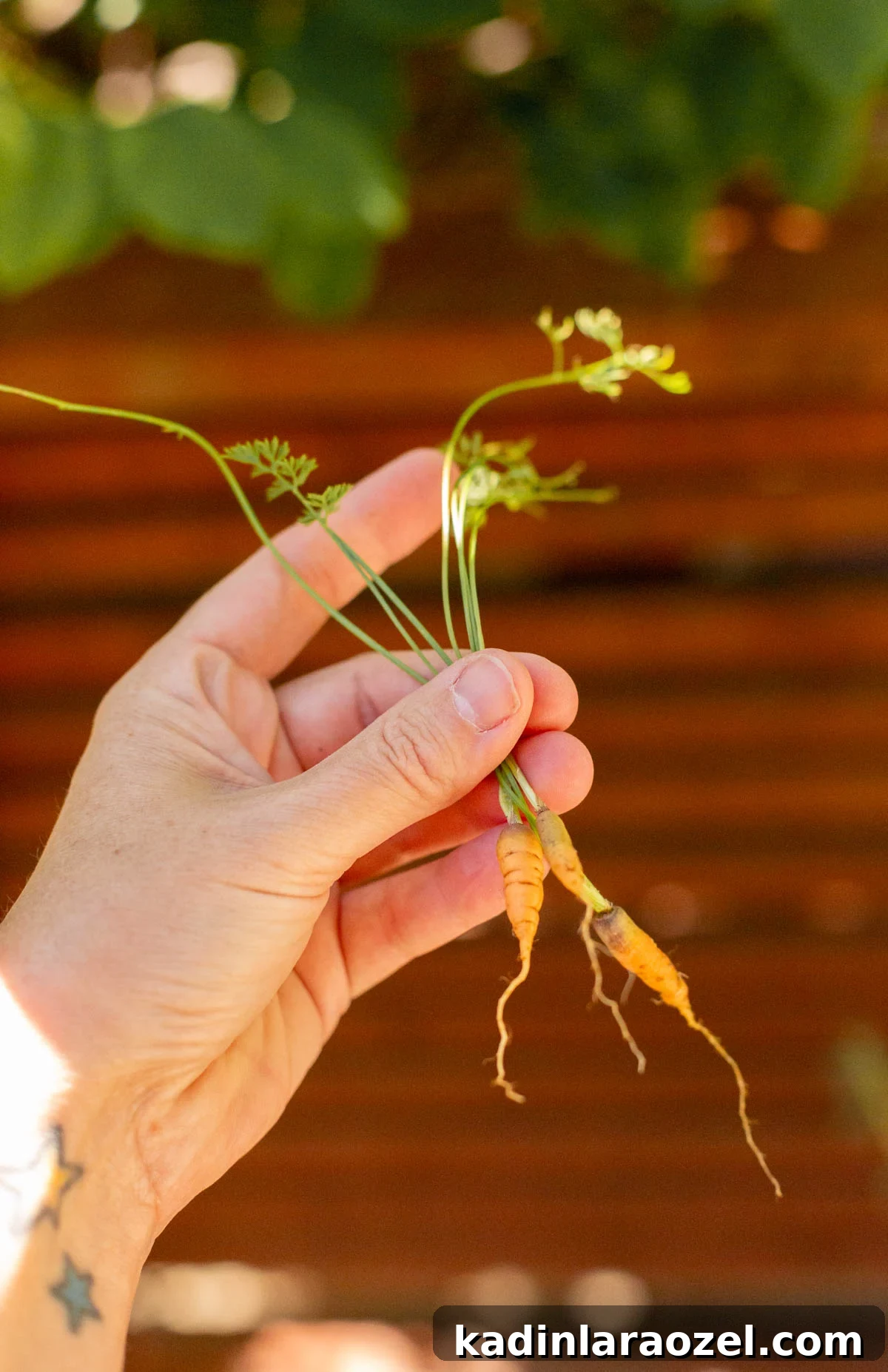 Practical Backyard Garden Ideas You Can Actually Build 8 Tiny homegrown carrots being held in a gardeners hand