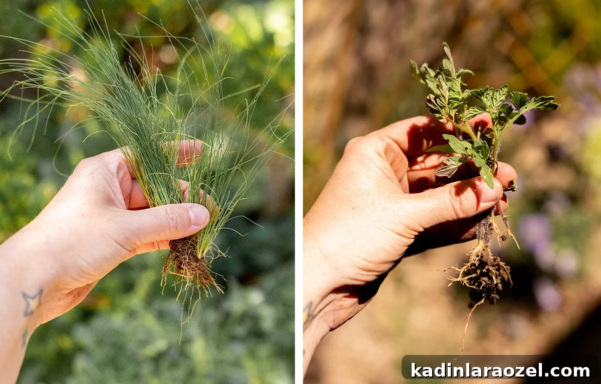 Practical Backyard Garden Ideas You Can Actually Build 9 small volunteer plants being held up, ready for planting
