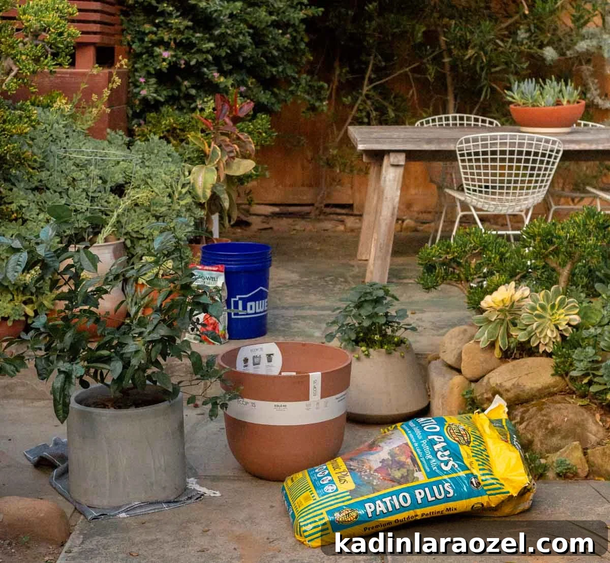 Practical Backyard Garden Ideas You Can Actually Build 10 Repotting plants getting ready for spring and summer with a backyard refresh