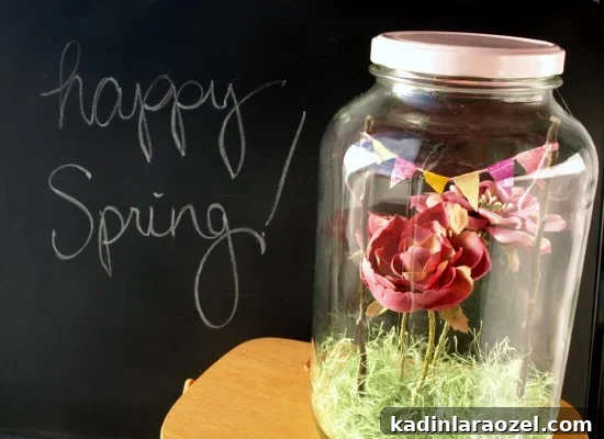 Spring terrarium