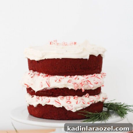 Red Velvet Christmas Cake