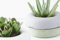 DIY Modern Concrete Planters: Step-by-Step Guide for Stylish Pots
