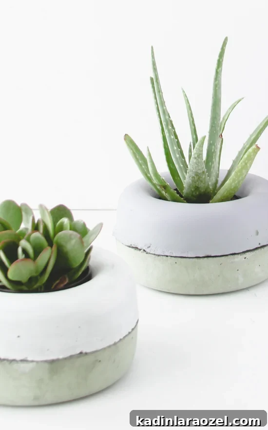 DIY Modern Concrete Planters: Step-by-Step Guide for Stylish Pots 2 img 62553 1