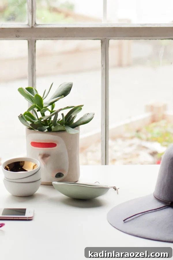 4 Tips for Finding the Perfect Plants (and Planters) for your Home