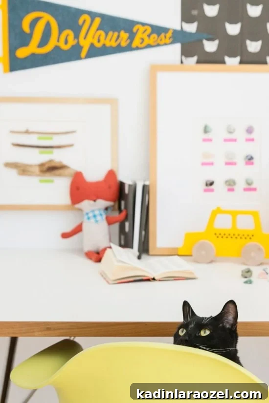 Behind the Scenes // Photobombing Cat