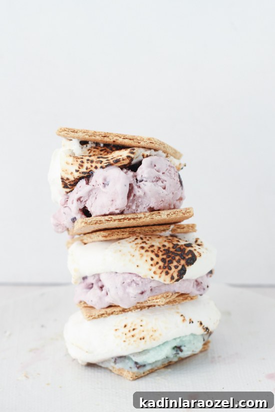 s'more ice cream sandwiches