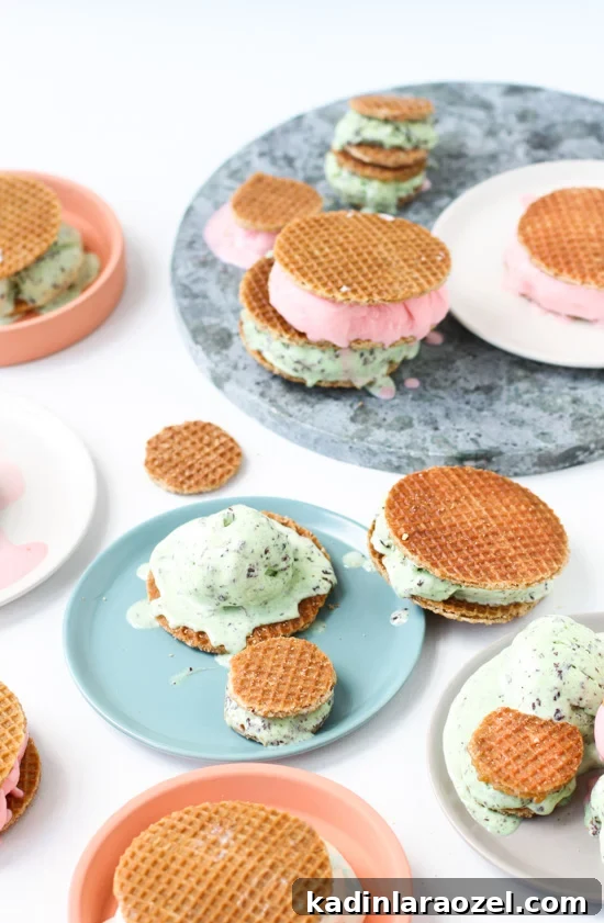 Dutch stroopwafle ice cream sandwiches 