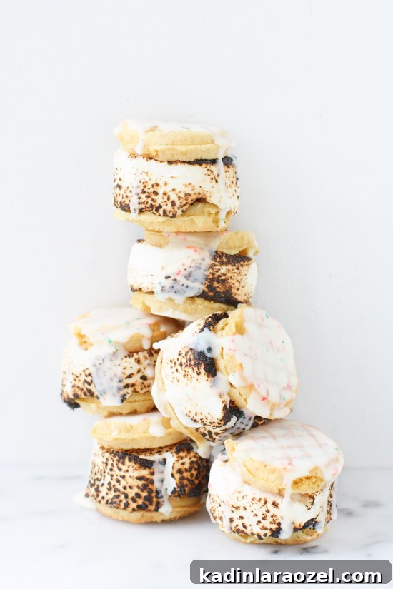 Weekend S'more Waffle Sandwiches: Gooey Chocolate & Marshmallow Treat 2 S'more Waffle Sandwiches
