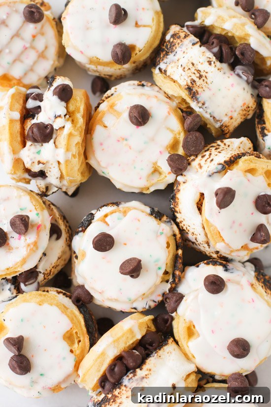 Weekend S'more Waffle Sandwiches: Gooey Chocolate & Marshmallow Treat 8 S'more Waffle Sandwiches
