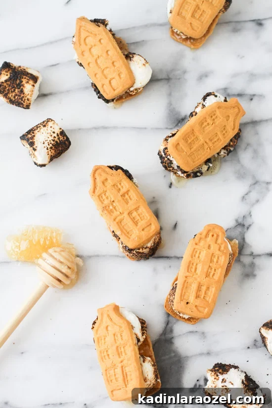 7 Creative DIY S'mores Upgrades to Try Now (Part 2) 2 House shaped honey s'mores