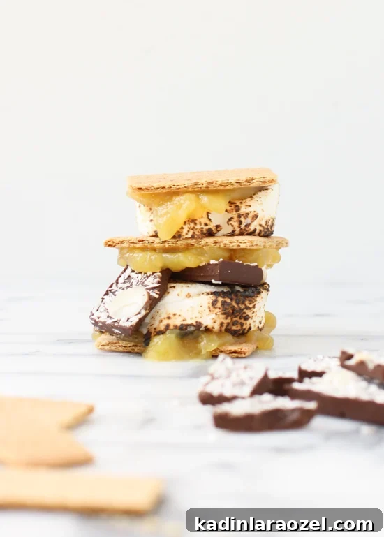7 Creative DIY S'mores Upgrades to Try Now (Part 2) 5 Lemon curd s'mores