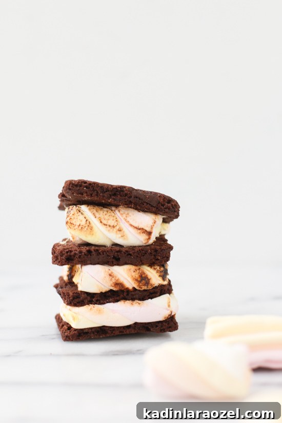 7 Creative DIY S'mores Upgrades to Try Now (Part 2) 6 Brownie s'mores
