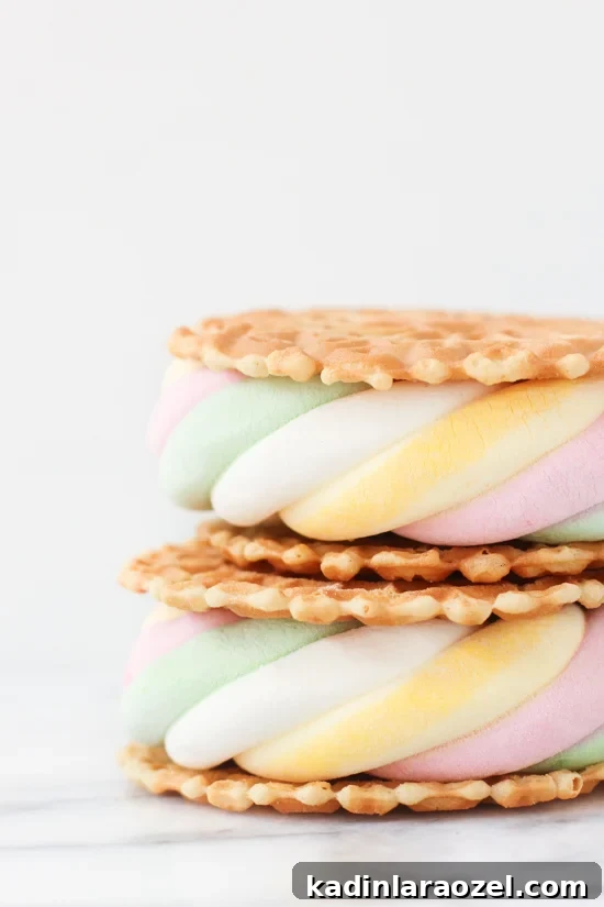 7 Creative DIY S'mores Upgrades to Try Now (Part 2) 7 Pizzelle s'mores