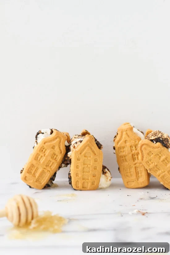 7 Creative DIY S'mores Upgrades to Try Now (Part 2) 9 Honey house s'mores
