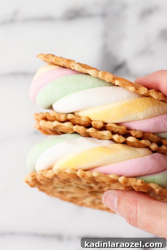7 Creative DIY S'mores Upgrades to Try Now (Part 2) 10 Pizzelle s'mores