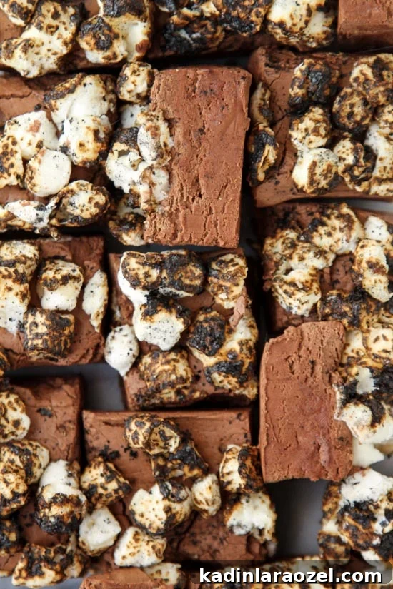 Nutella Fudge (topped with toasted marshmallows)