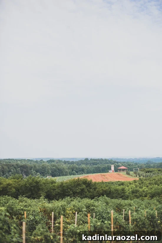 far away view of some of the acreage at Jaemor Farms in Alto, Georgia
